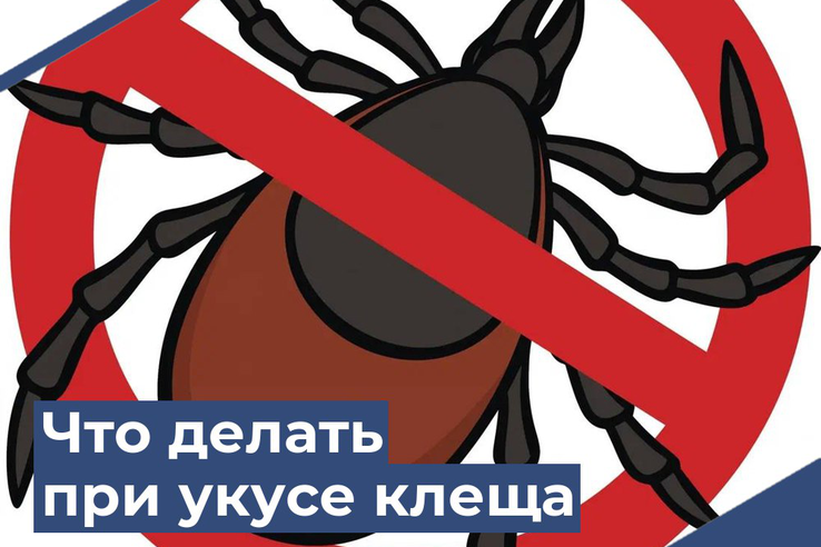 О Платформе обратной связи (ПОС)