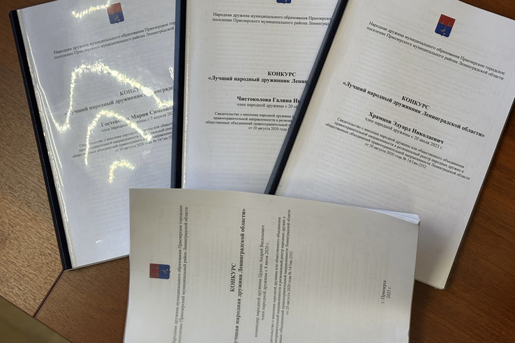 В Приозерском районе лучшие народные дружинники